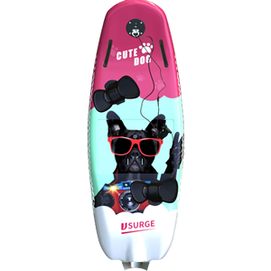 极浪JS012电动冲浪板